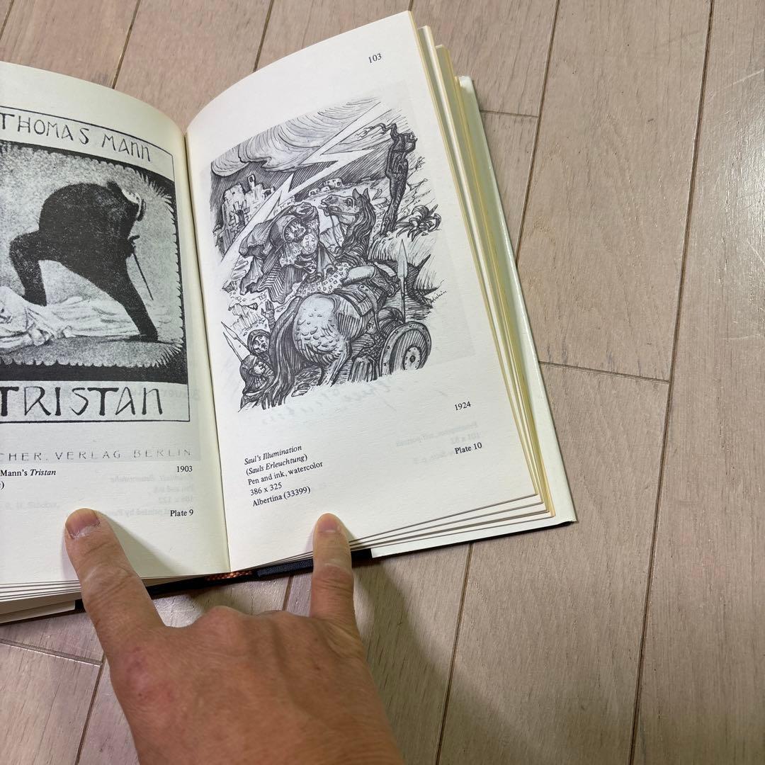 洋書 Verbal and Visual Art of Alfred Kubin