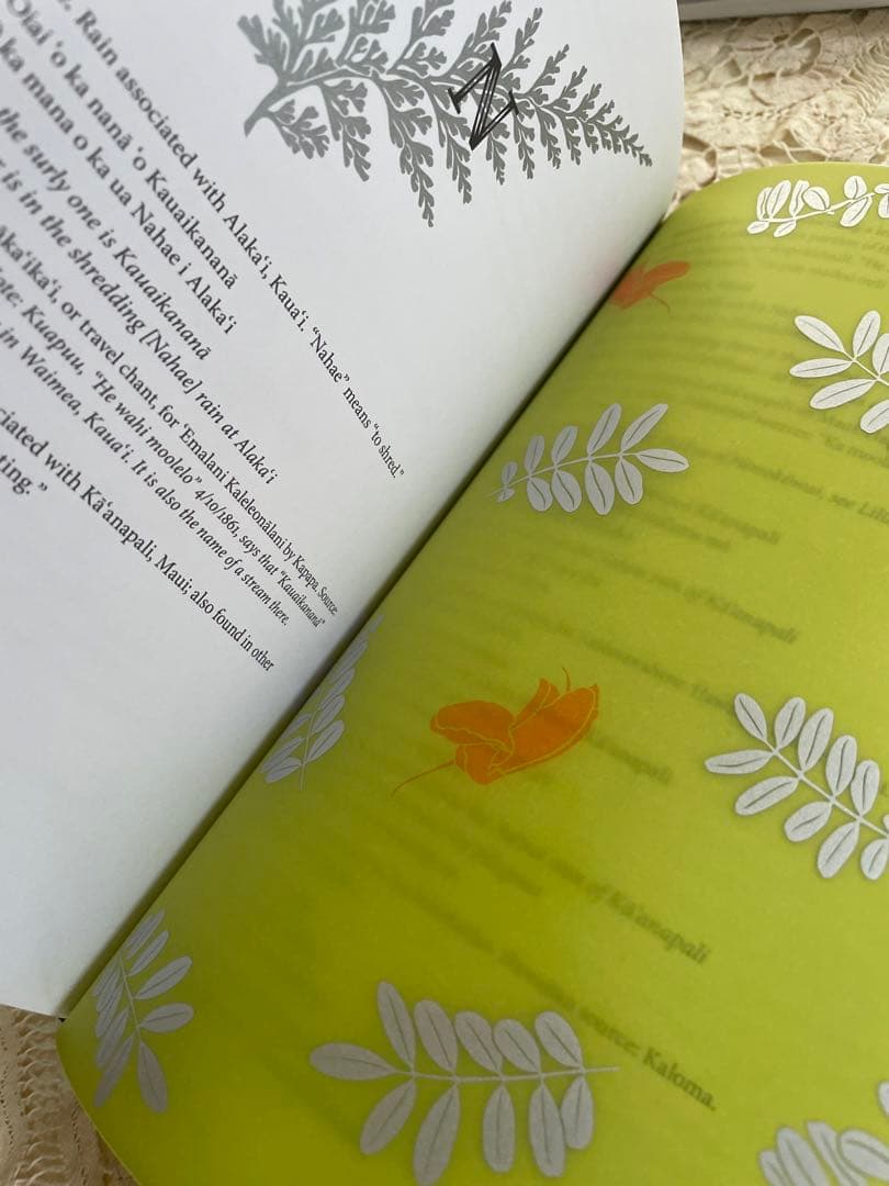 ハワイの雨の名前　辞典　フラダンス