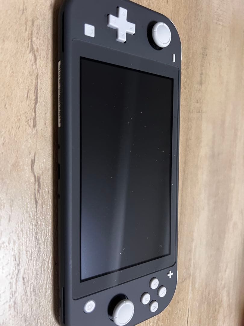 Nintendo Switch Lite グレー 本体 + スプラトゥーン3 他