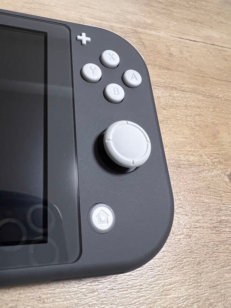 Nintendo Switch Lite グレー 本体 + スプラトゥーン3 他