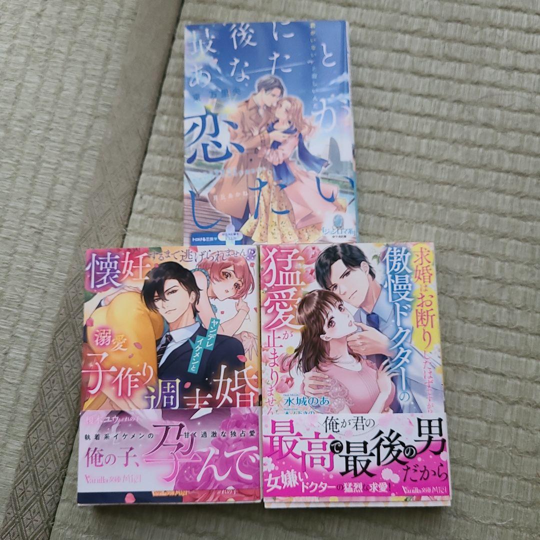 獣欲な副社長はツレない秘書を捕まえたい。