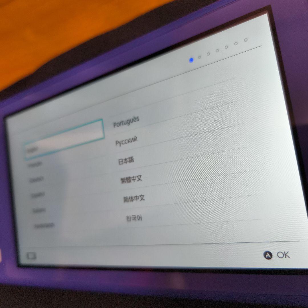 Nintendo Switch Lite 本体　ソフトケース付き
