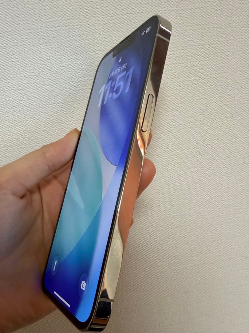 Apple iPhone 13 Pro シルバー 本体【翌日発送】