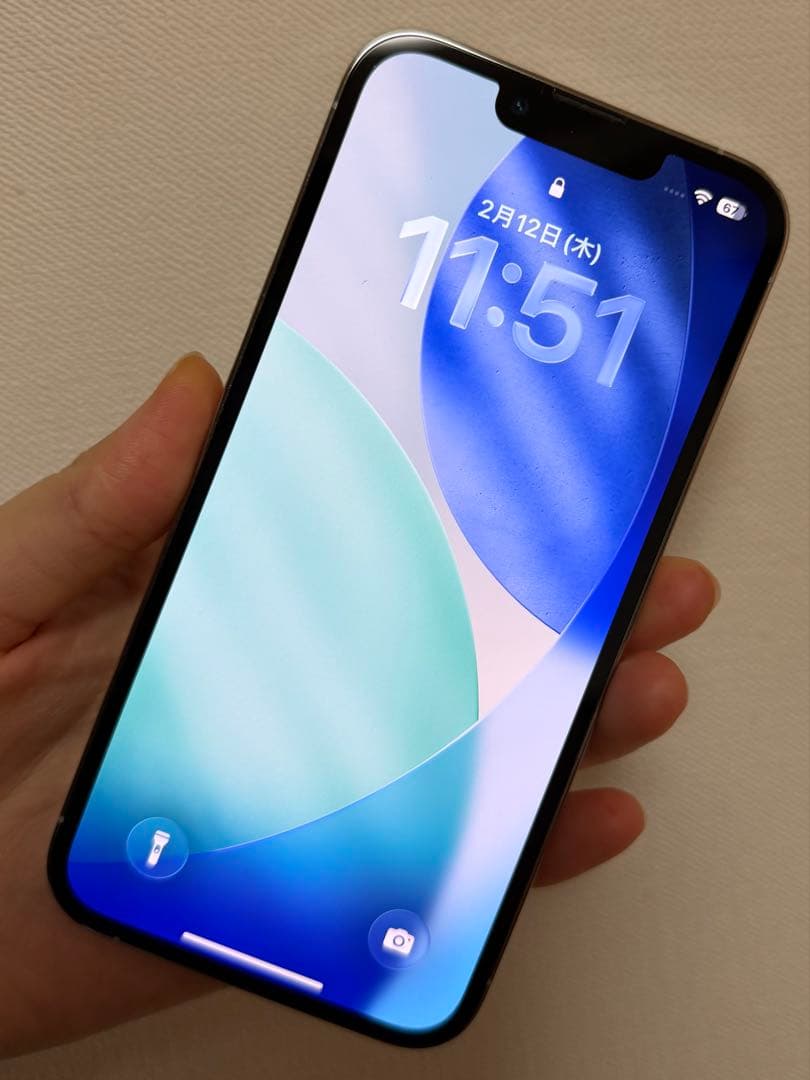 Apple iPhone 13 Pro シルバー 本体【翌日発送】