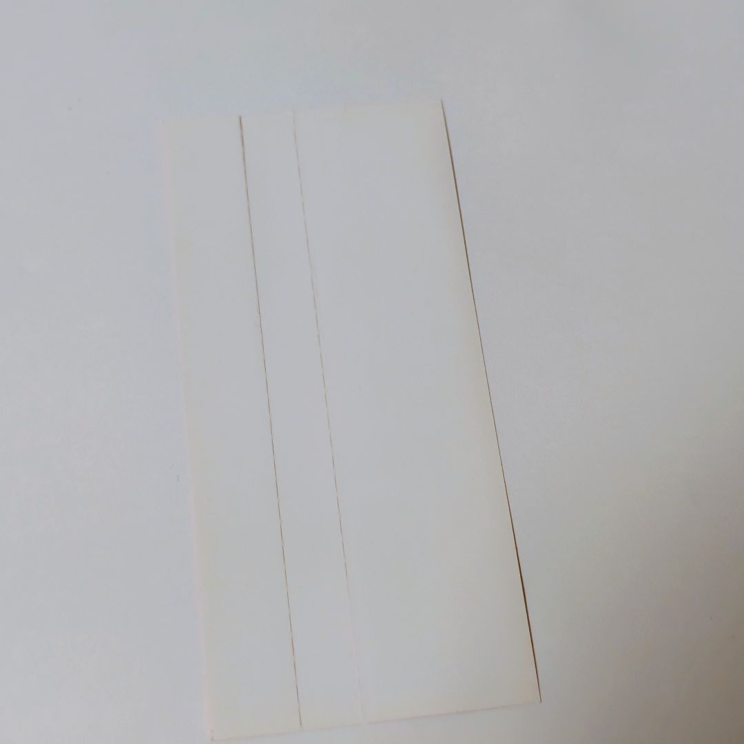 【希少/帯付】春ねむり「春と修羅」初回限定盤 CD+DVD