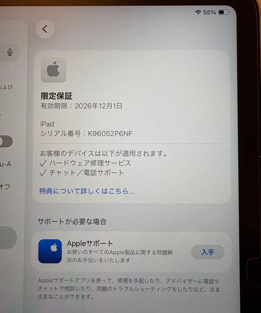 iPad(A16)11インチWi-Fi 512G イエロー