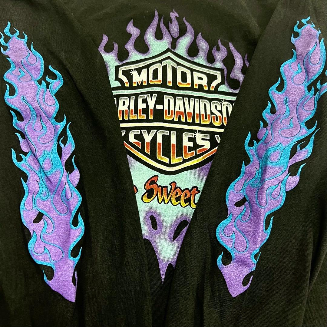 USA製 ハーレーダビットソン ブルーフレイム ロンT ブラック 長袖 黒 L