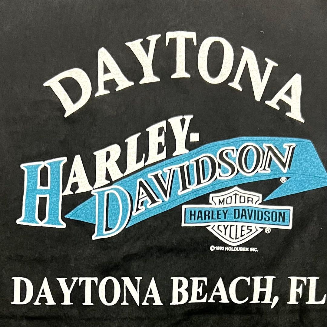 USA製 ハーレーダビットソン ブルーフレイム ロンT ブラック 長袖 黒 L