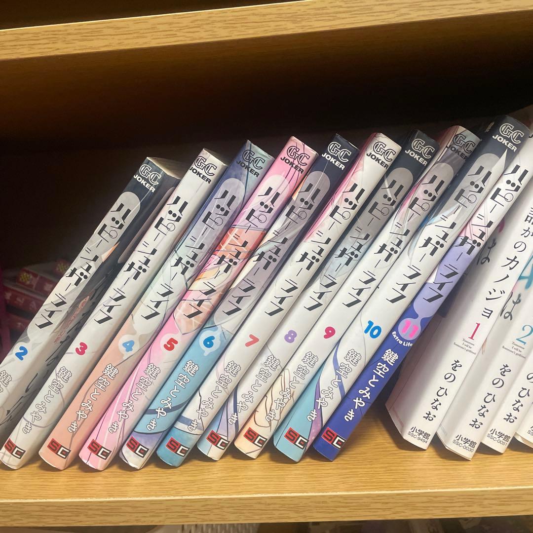 ハッピーシュガーライフ　２〜１１巻