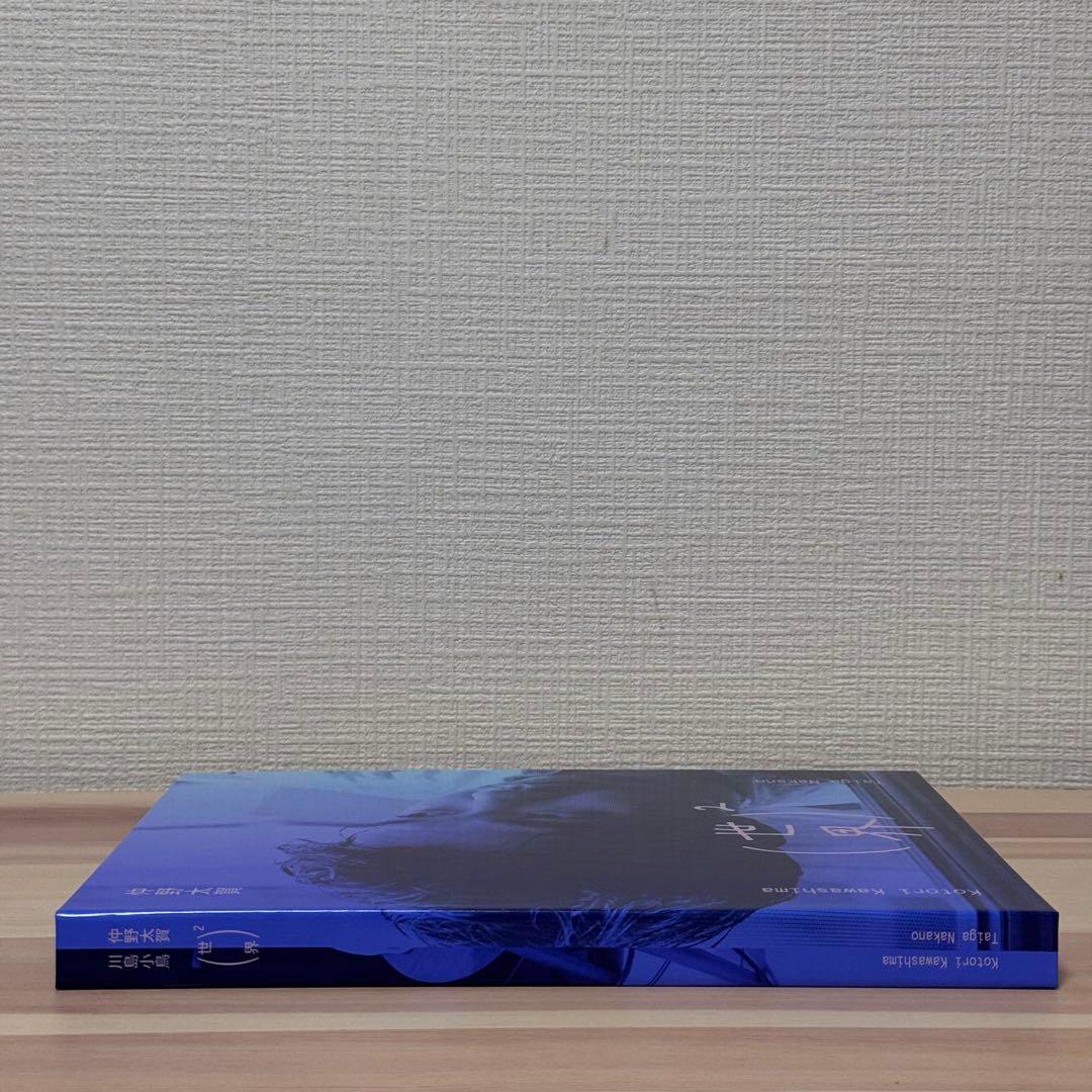 川島小鳥 仲野太賀 写真集 「(世界)2」