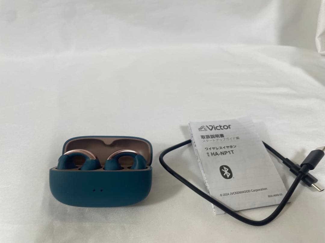 VICTOR ビクター イヤホン HA-NP1T