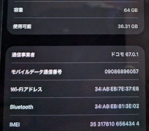 iPad Mini 第5世代 Wi-Fi Cellular 64GB