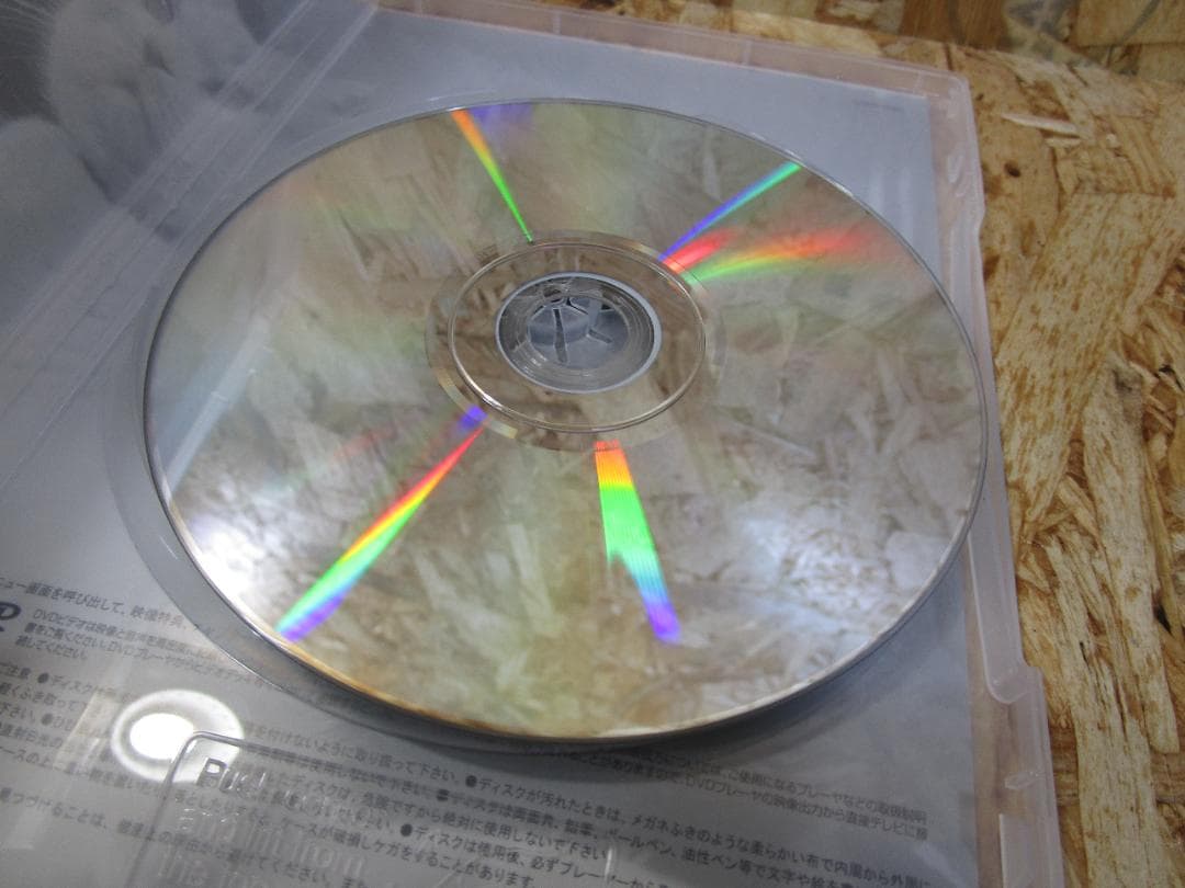 （激レア）どスコい座り猫、まる。～養老孟司先生と猫の営業部長 [DVD]