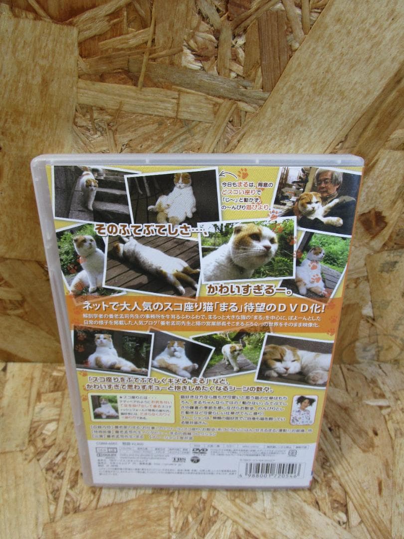 （激レア）どスコい座り猫、まる。～養老孟司先生と猫の営業部長 [DVD]