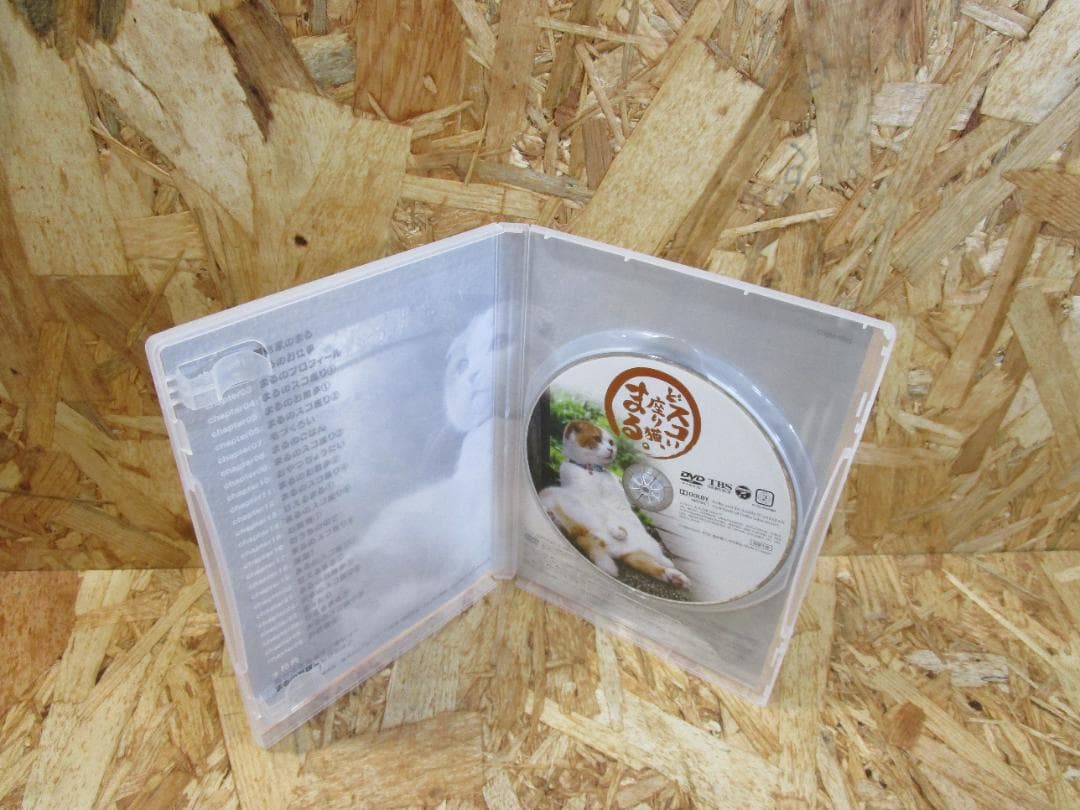 （激レア）どスコい座り猫、まる。～養老孟司先生と猫の営業部長 [DVD]