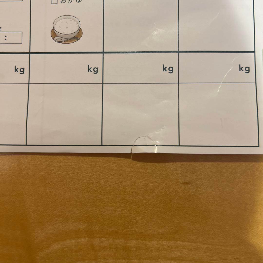 2セット！グリーンブラザーズ　ファスティング