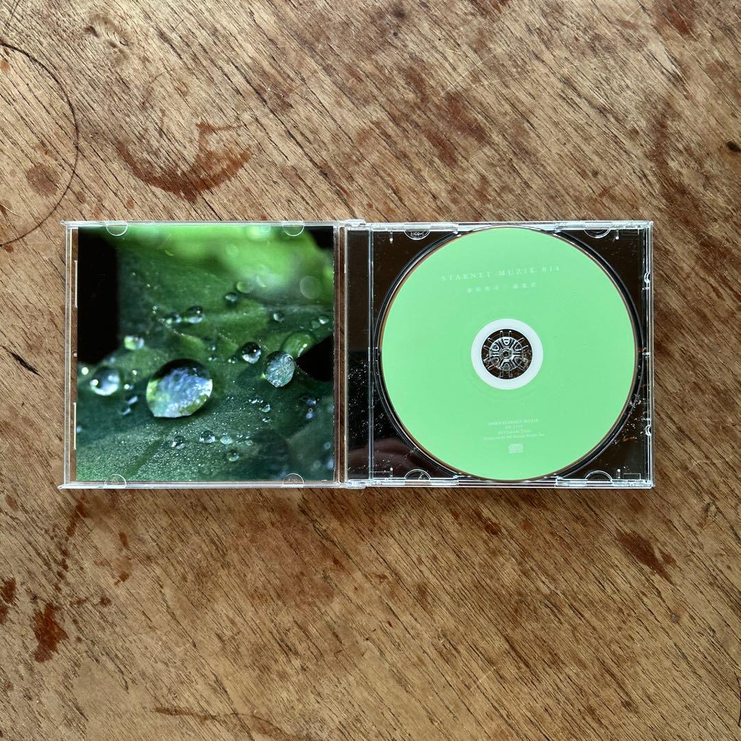 STARNET MUZIK 014 湿度計