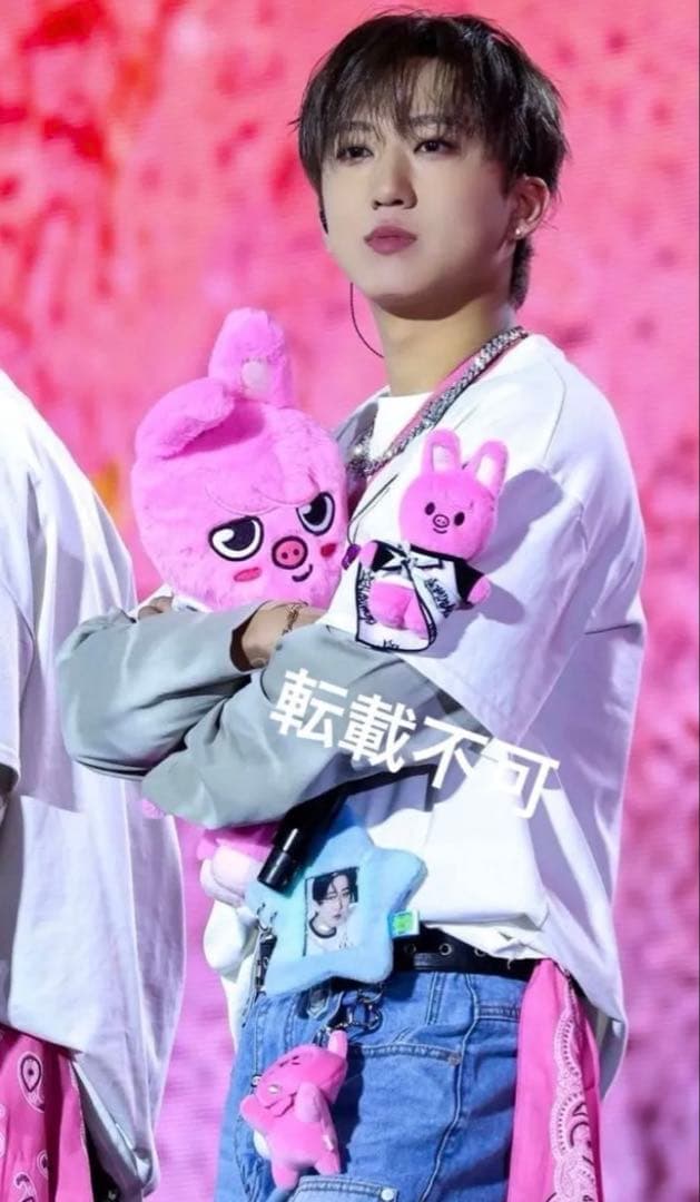 straykids チャンビン plush bag プラッシュ バッグ