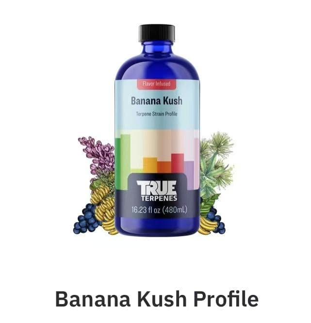 TRUE テルペン 香料 CBD CBN CBG 10ml バナナクッシュ