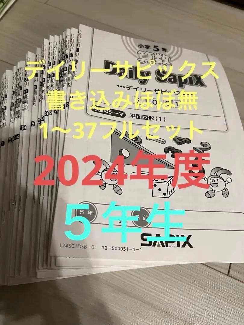 Daily Sapix 5年 2024年度　フルセット　デイリーサピックス