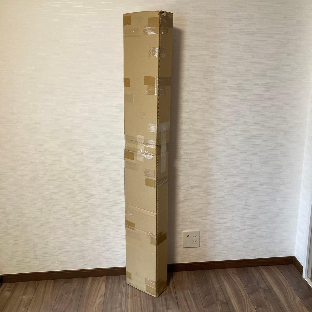 フォルクル　RACETIGER レースタイガー　SX DEMO 168cm