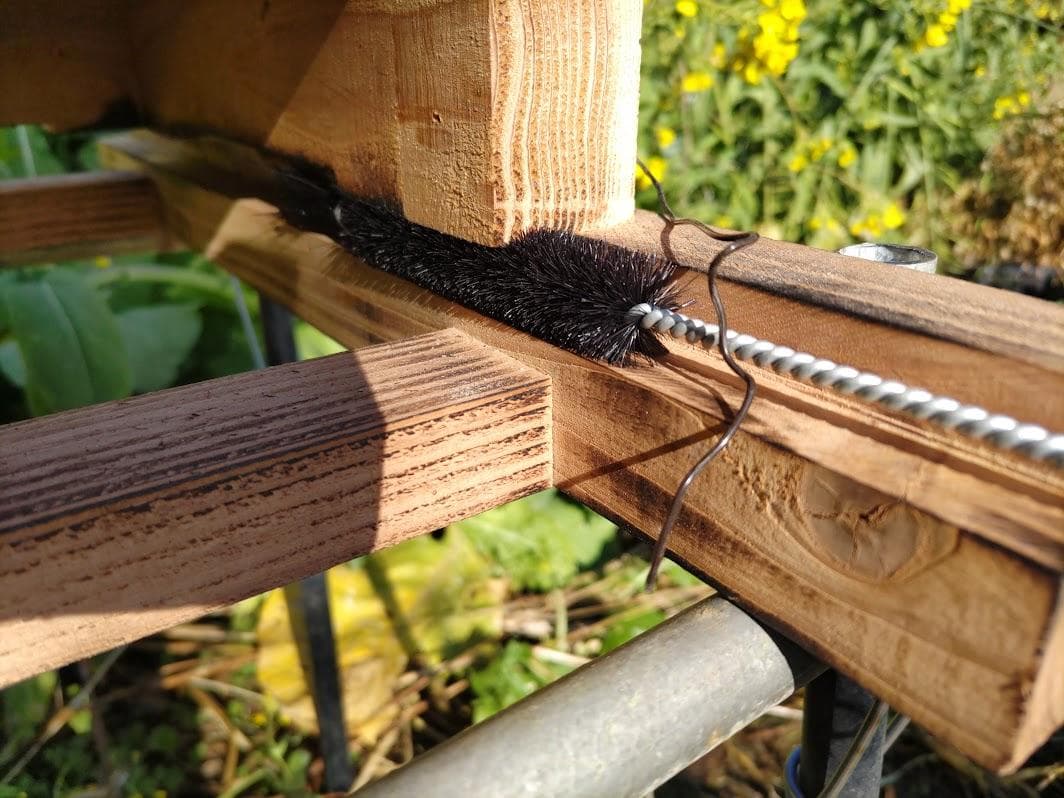 花芽4本付きキンリョウヘン➕日本蜜蜂 重箱式巣箱4段➕スノコ