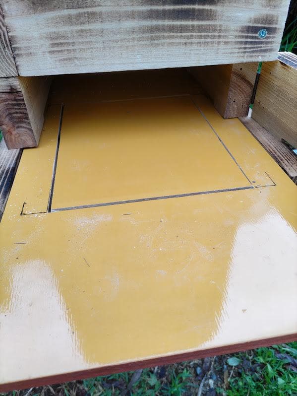 花芽4本付きキンリョウヘン➕日本蜜蜂 重箱式巣箱4段➕スノコ