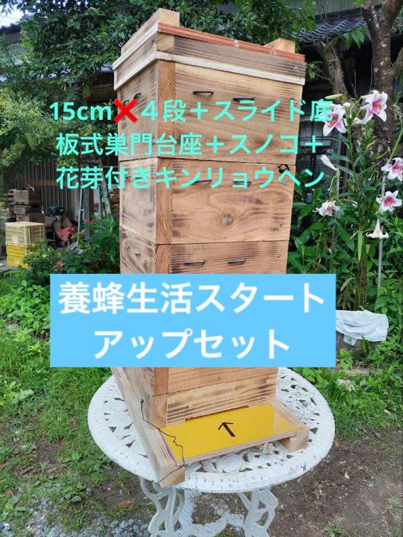 花芽4本付きキンリョウヘン➕日本蜜蜂 重箱式巣箱4段➕スノコ