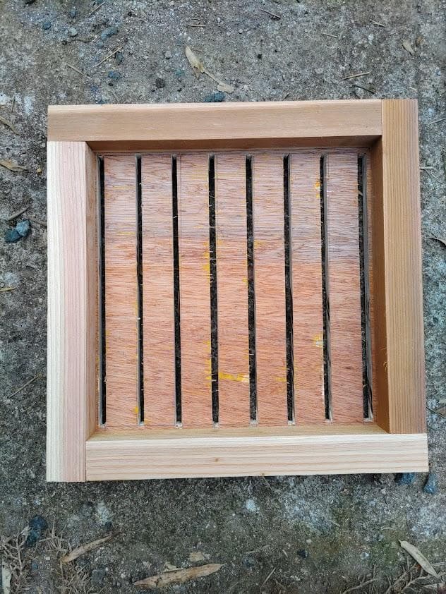 花芽4本付きキンリョウヘン➕日本蜜蜂 重箱式巣箱4段➕スノコ