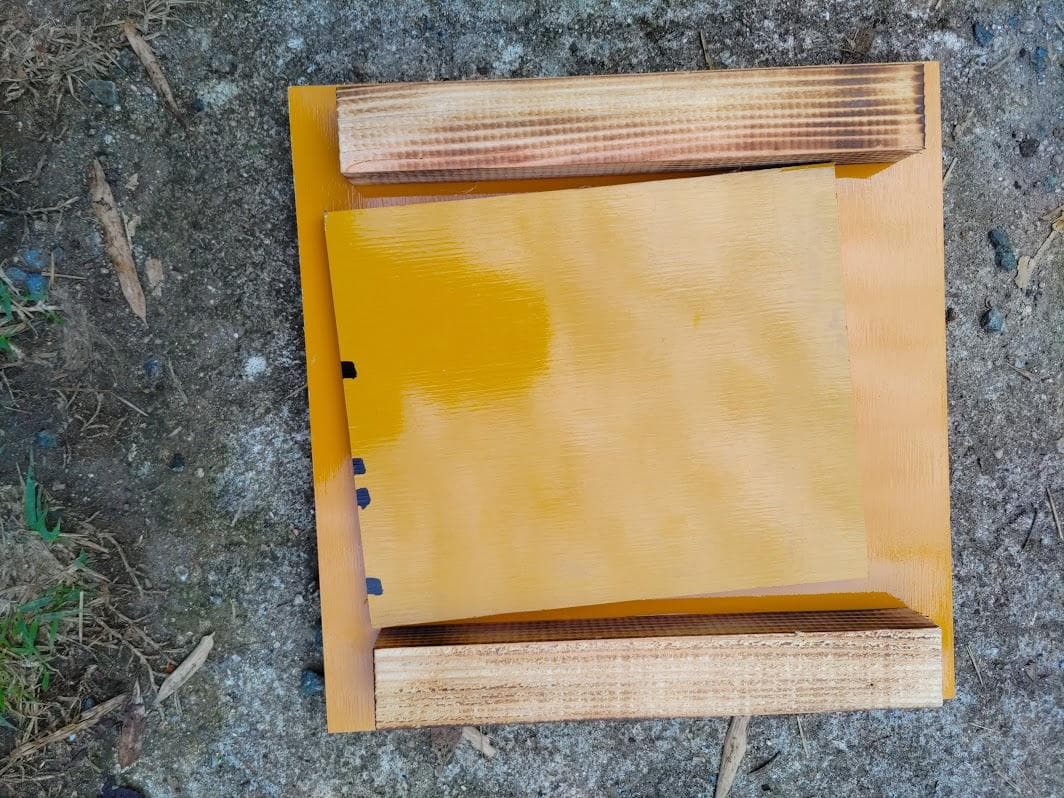 花芽4本付きキンリョウヘン➕日本蜜蜂 重箱式巣箱4段➕スノコ