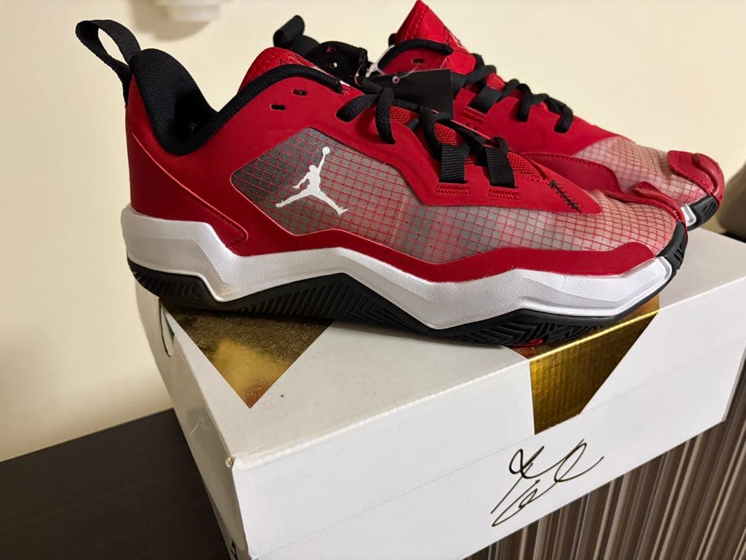 【未使用】AIR JORDAN RETRO MAX LOW G 25.5cm