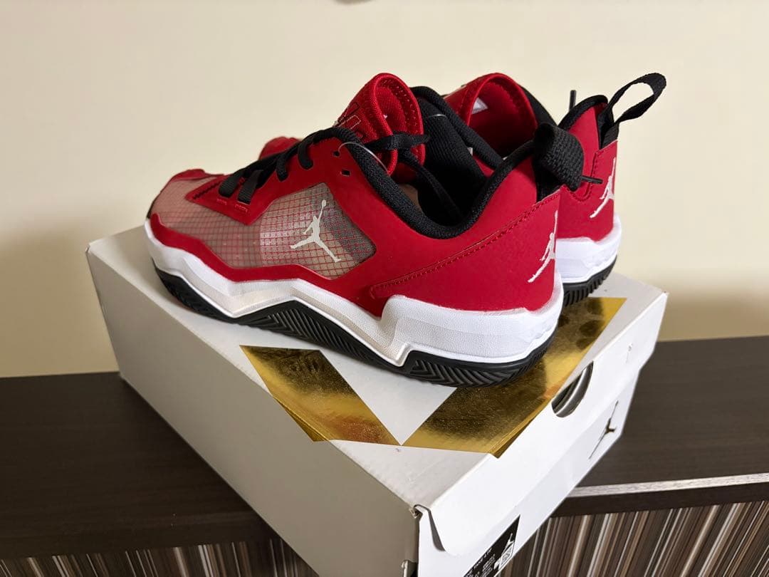 【未使用】AIR JORDAN RETRO MAX LOW G 25.5cm