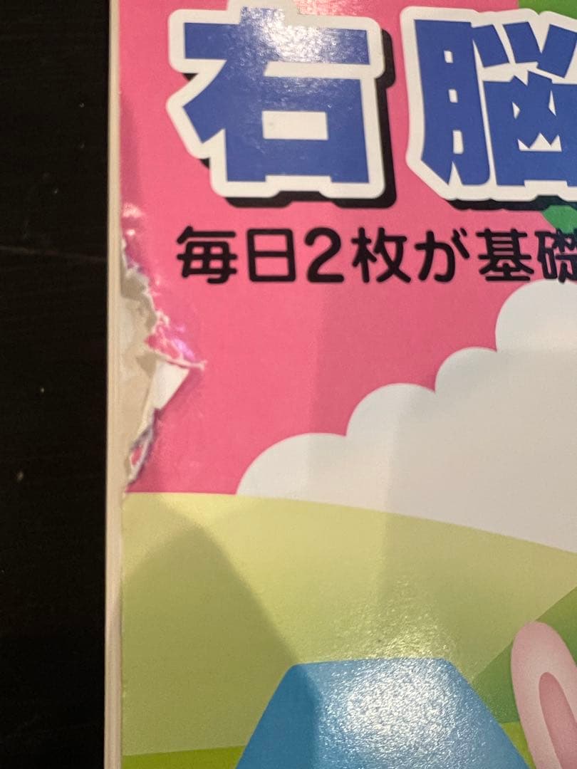 七田式　小学生プリント　右脳Ⅲ