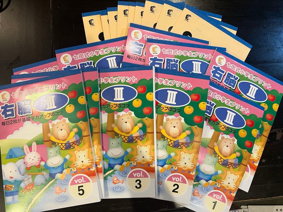 七田式　小学生プリント　右脳Ⅲ
