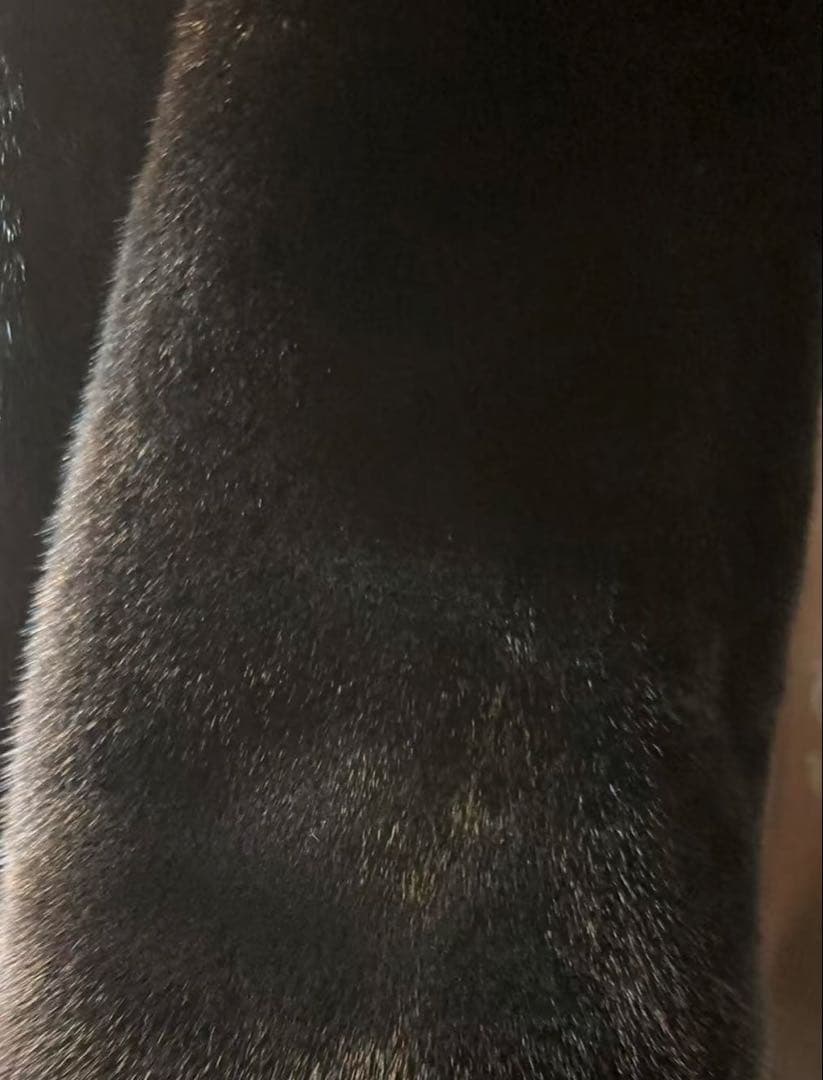 ブラックミンク　両面特ロングマフラー＆ショール