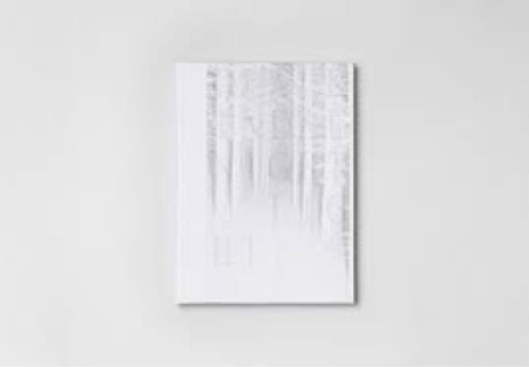 アート・デザイン・音楽 Ola Rindal / Night, Light