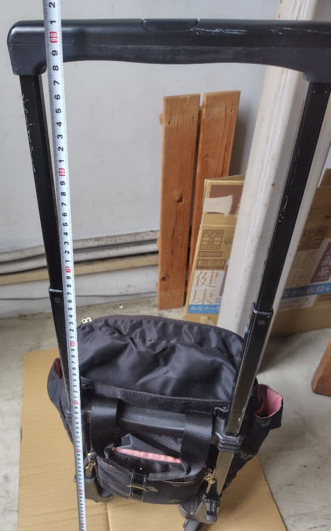 スワニー　キャリーバッグ　ハローキティ