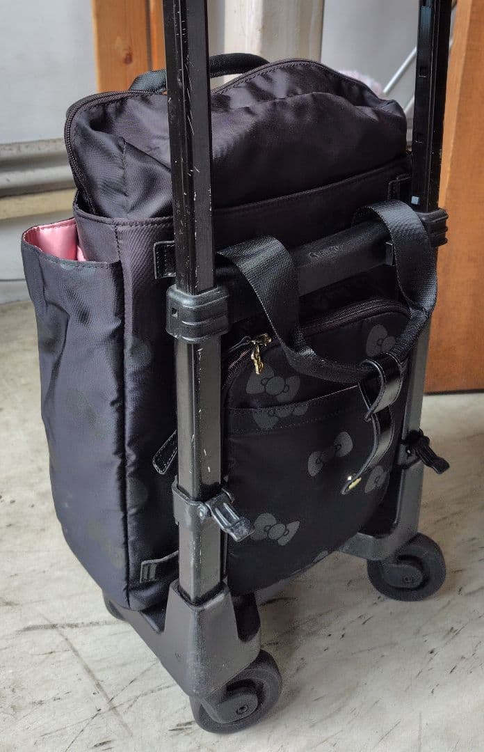 スワニー　キャリーバッグ　ハローキティ