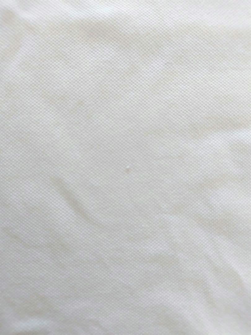 【入手困難】Polo by Ralph Lauren ラルフローレン ポロシャツ