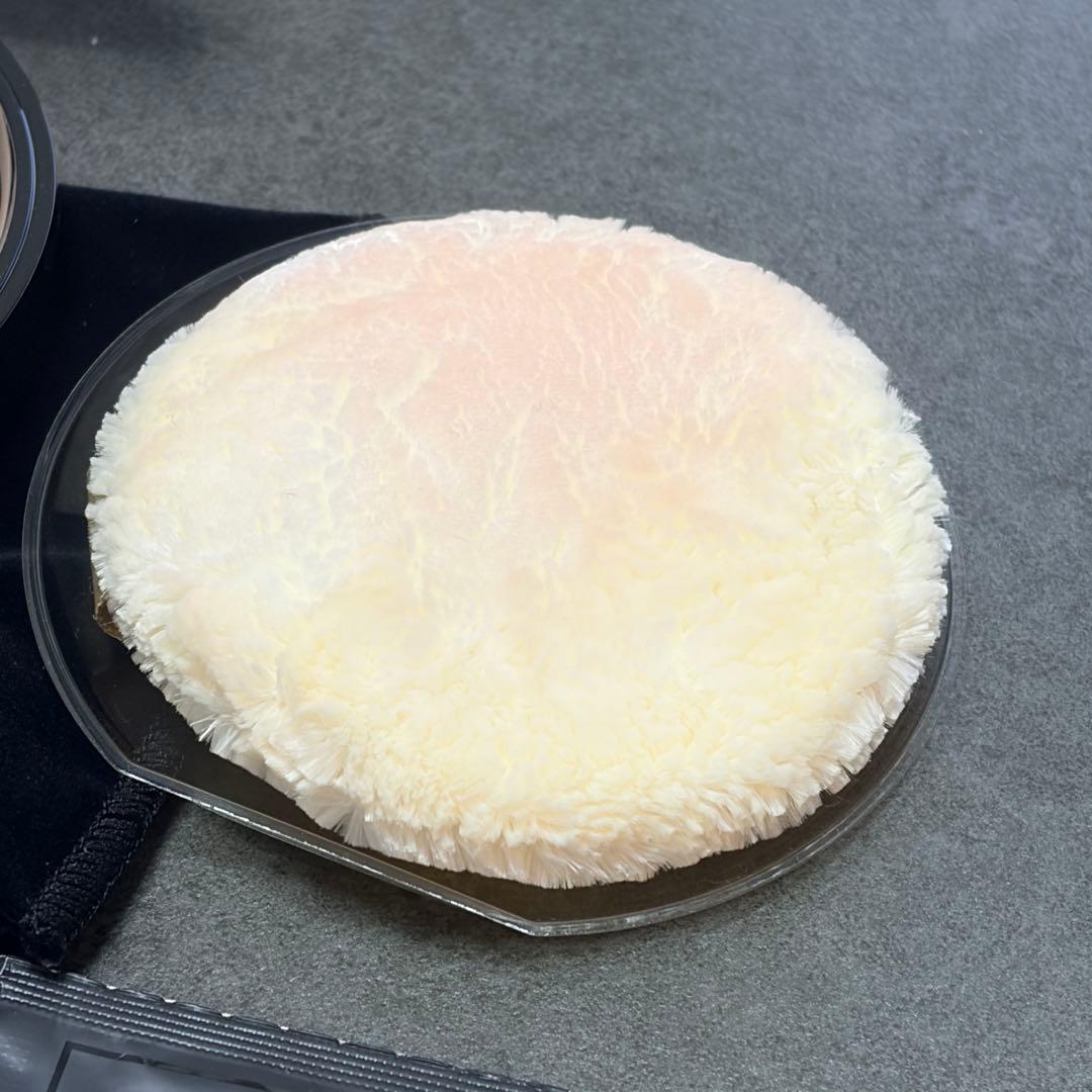 アルビオン エクシア セレスティアル ヴェール NA01