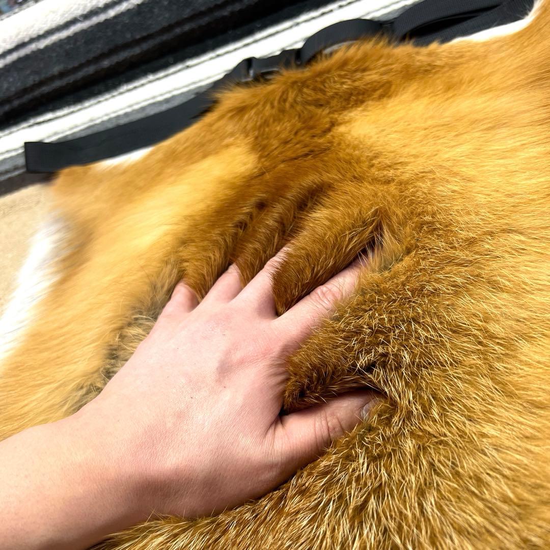 【裏地付】レッドフォックス 登山　赤狐毛皮敷物　尻あて　キャンプ　スキー　マタギ