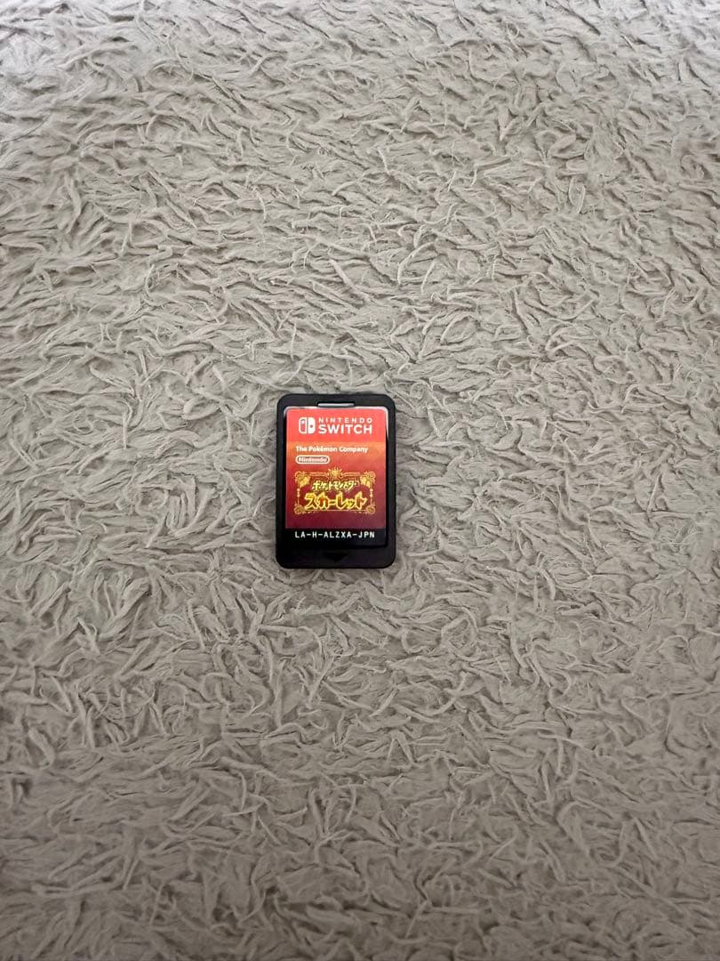 Nintendo Switch lite ゲームソフト2本付き 値下げ交渉可能