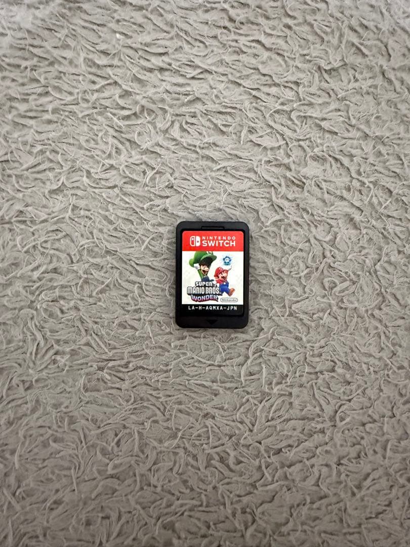 Nintendo Switch lite ゲームソフト2本付き 値下げ交渉可能