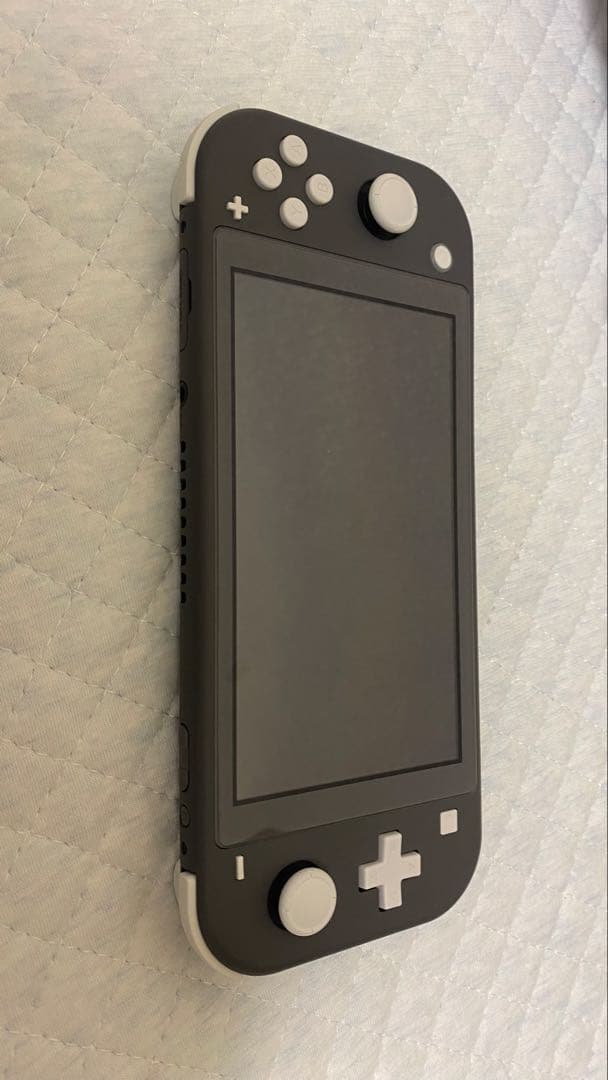 Nintendo Switch Lite グレー 本体とゲームセット