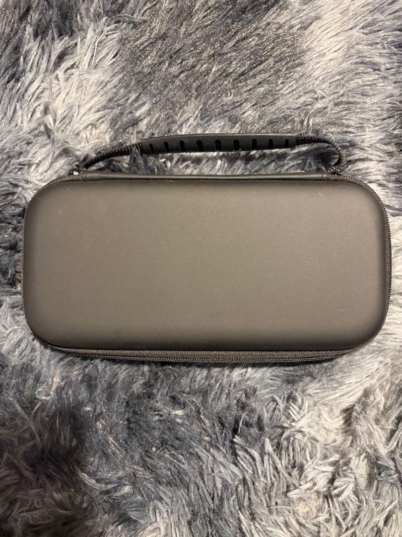 Switch Lite（持ち運び用ケースあり）