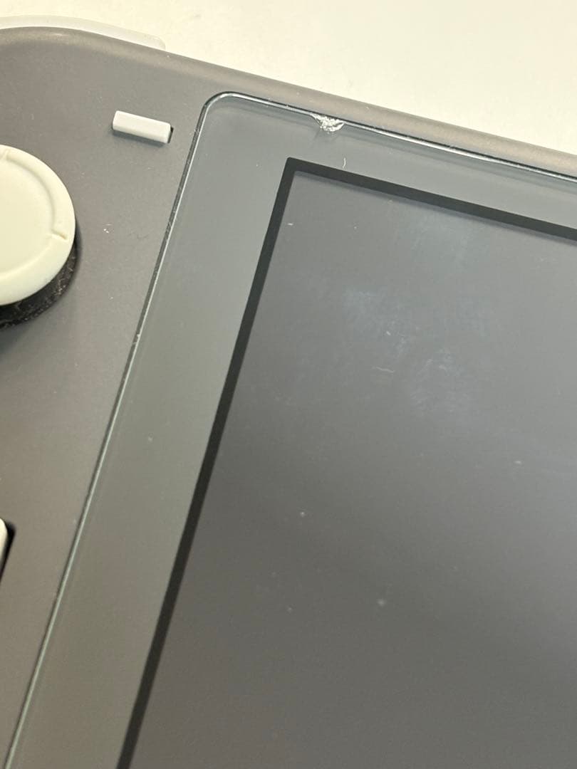 Switch Lite（持ち運び用ケースあり）