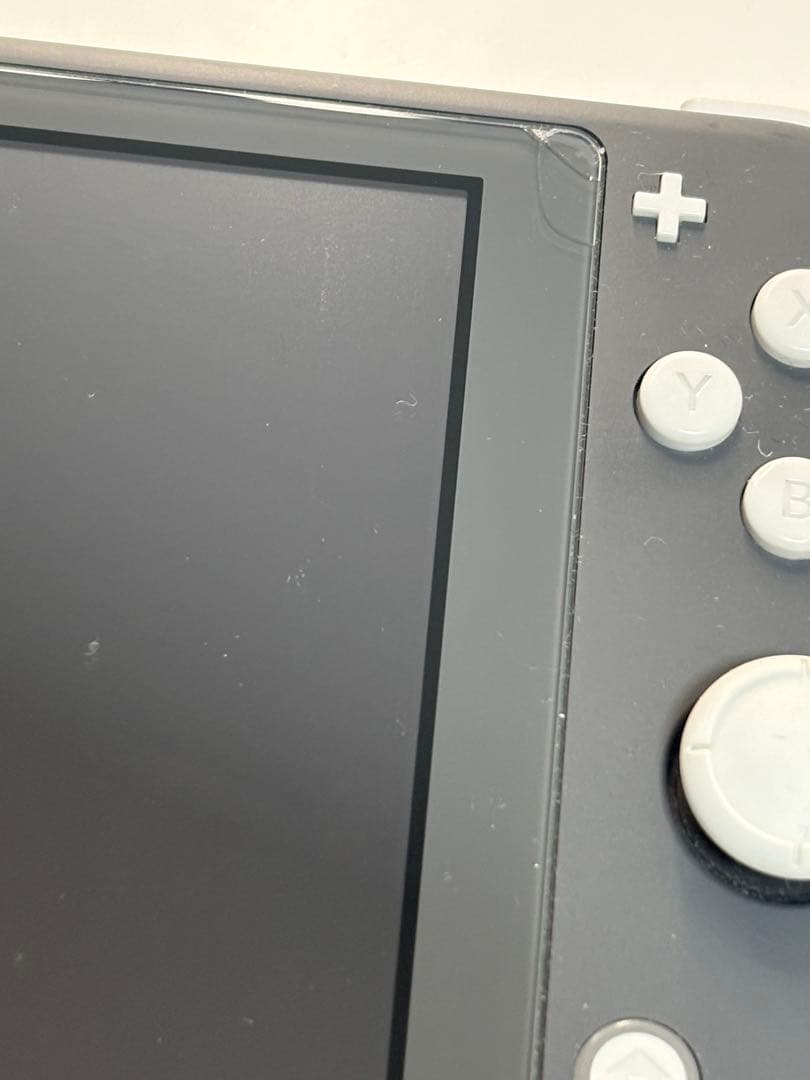 Switch Lite（持ち運び用ケースあり）