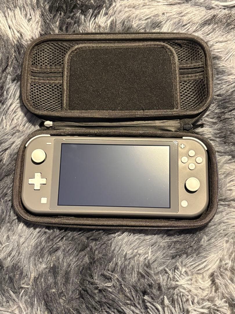 Switch Lite（持ち運び用ケースあり）