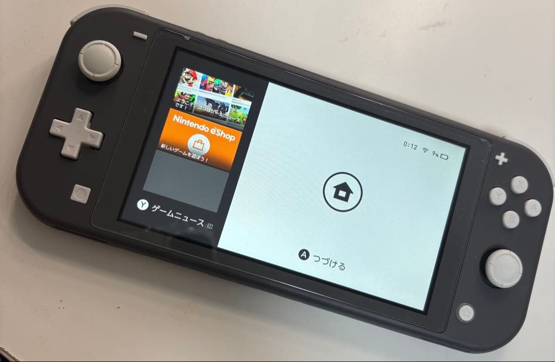 Switch Lite（持ち運び用ケースあり）