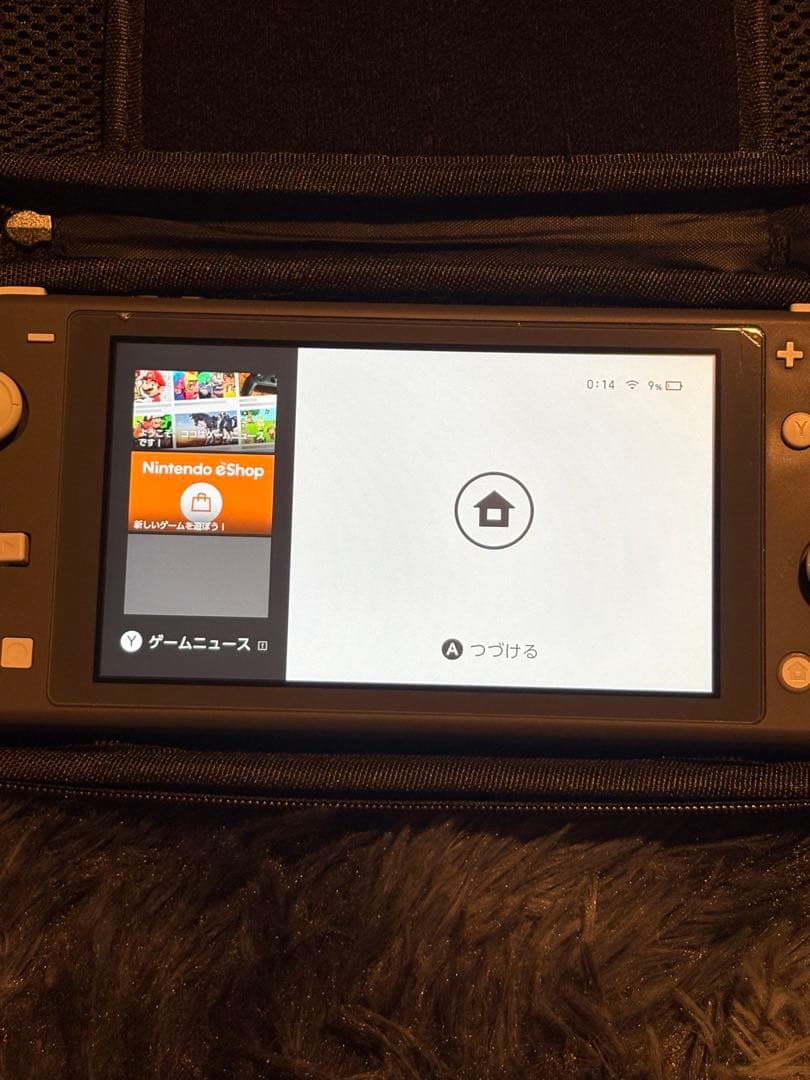 Switch Lite（持ち運び用ケースあり）